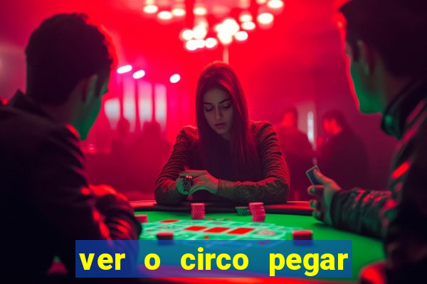 ver o circo pegar fogo significado