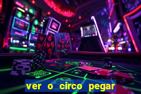 ver o circo pegar fogo significado