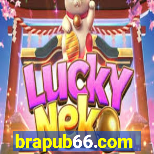 brapub66.com