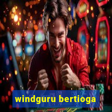 windguru bertioga