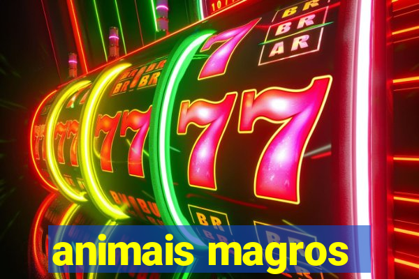 animais magros