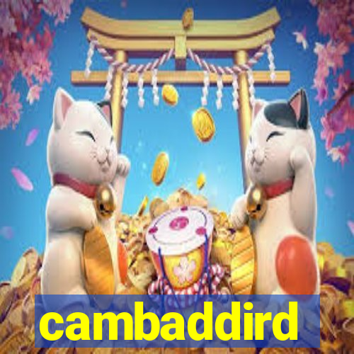 cambaddird