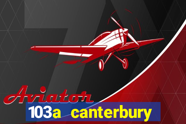 103a canterbury street casino nsw 2470