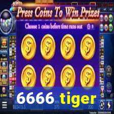 6666 tiger