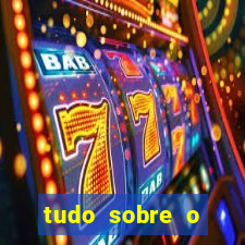 tudo sobre o fortune tiger