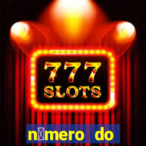 n煤mero do bate-papo da vivo