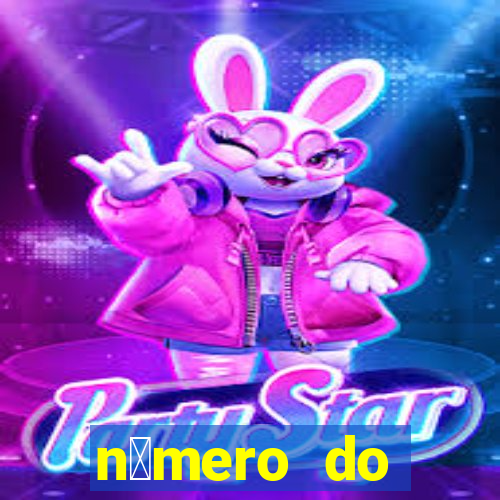 n煤mero do bate-papo da vivo