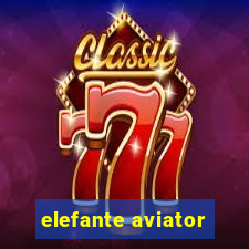 elefante aviator