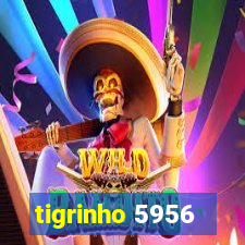 tigrinho 5956