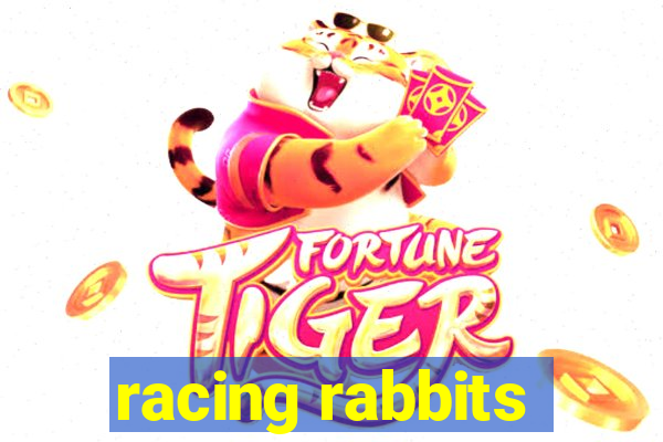 racing rabbits