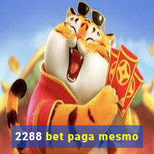 2288 bet paga mesmo