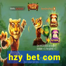 hzy bet com