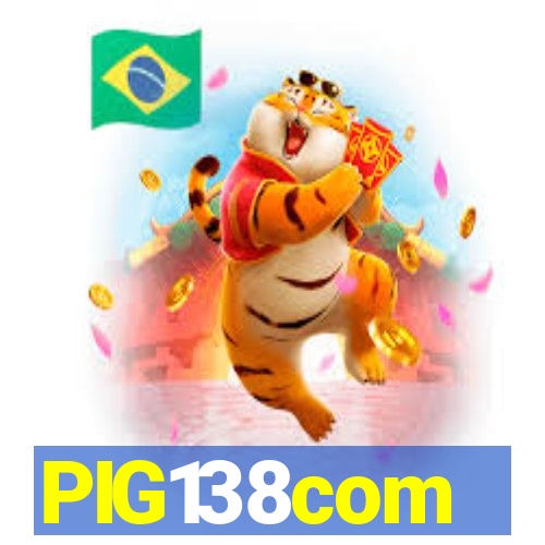 PIG138com