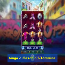 bingo è maschio o femmina