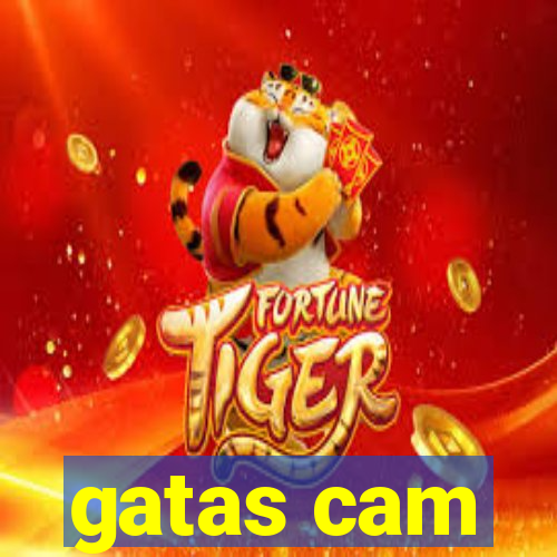 gatas cam