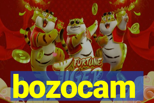 bozocam