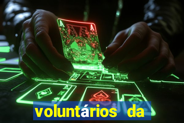 voluntários da pátria 344