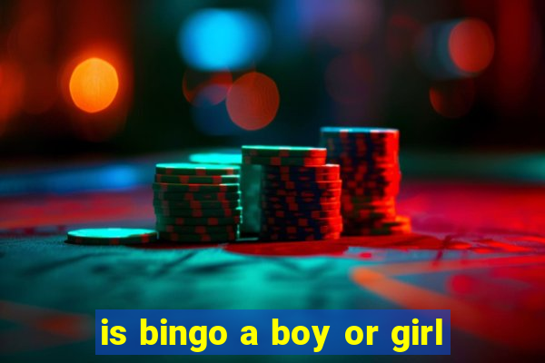 is bingo a boy or girl