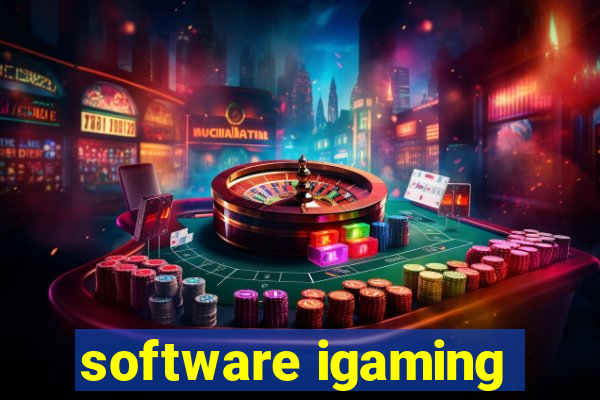 software igaming