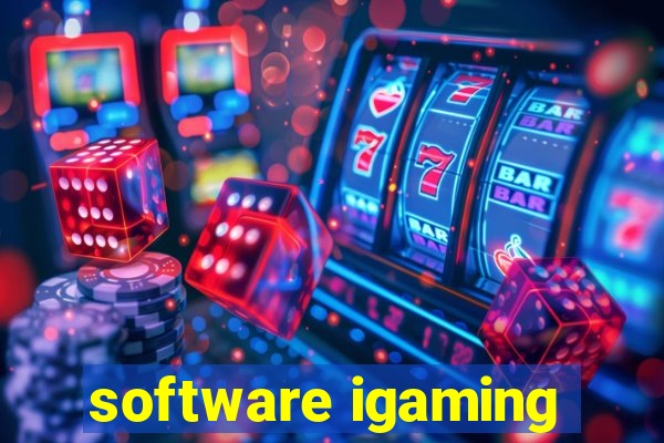 software igaming