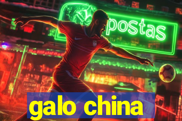 galo china