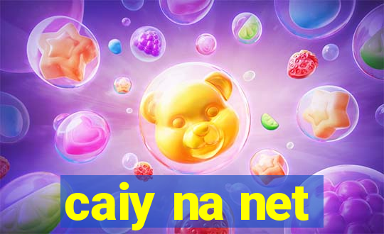 caiy na net