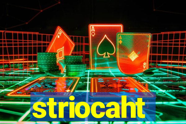 striocaht