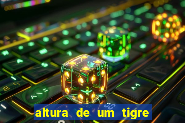 altura de um tigre em pé