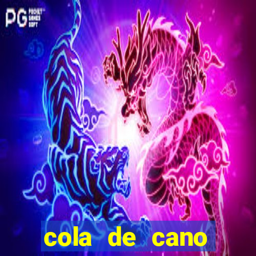 cola de cano quanto tempo para secar