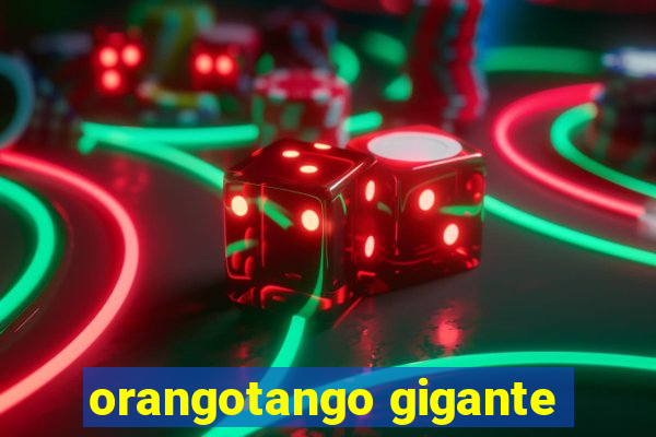 orangotango gigante