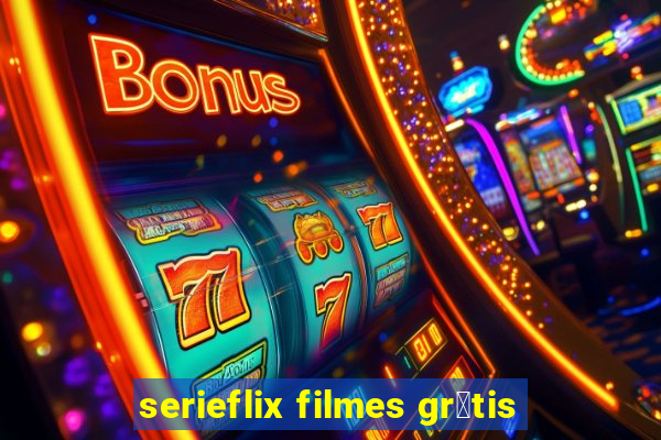 serieflix filmes gr谩tis