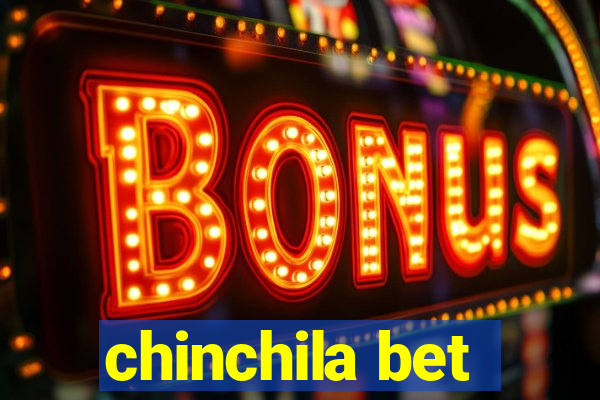 chinchila bet