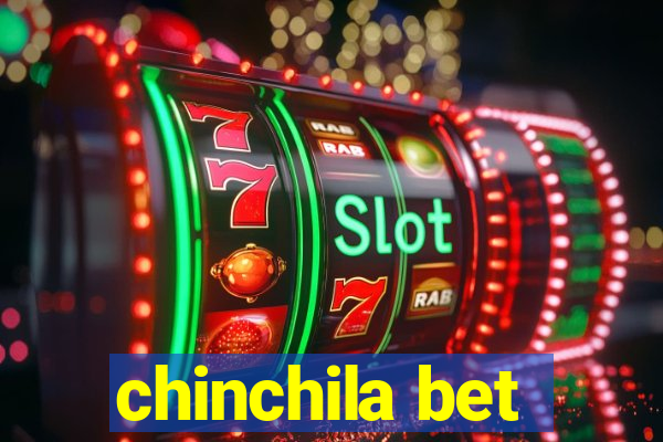 chinchila bet