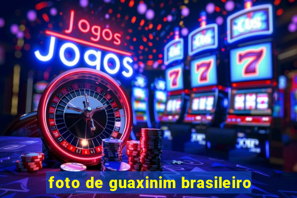 foto de guaxinim brasileiro