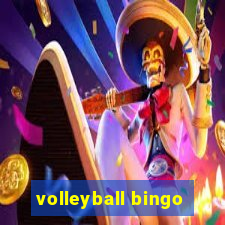 volleyball bingo