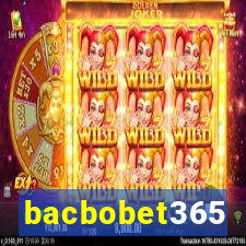 bacbobet365