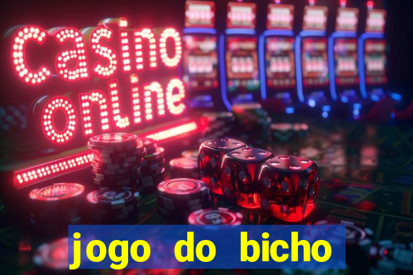 jogo do bicho ganhar dinheiro