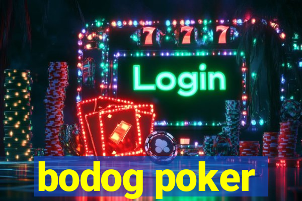 bodog poker