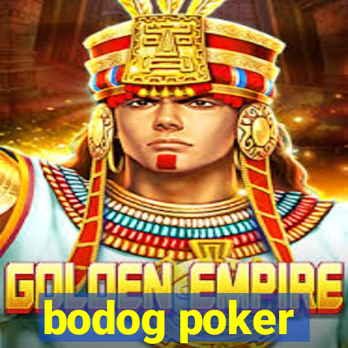 bodog poker