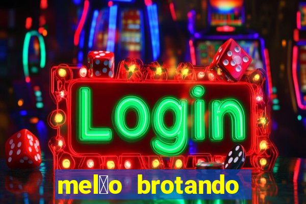 mel茫o brotando pode comer