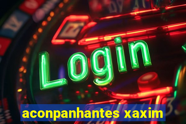 aconpanhantes xaxim