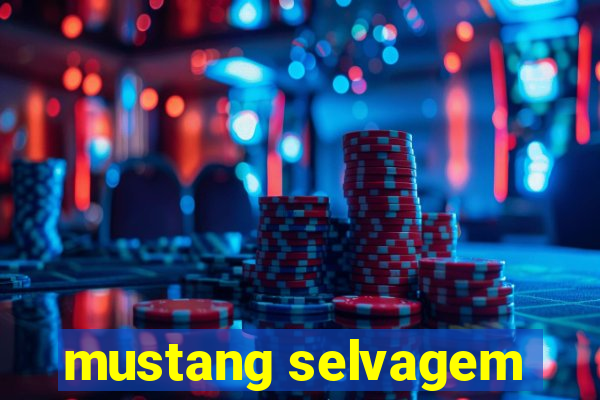 mustang selvagem