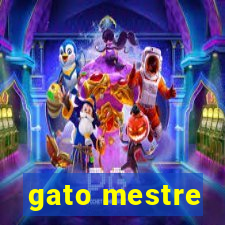 gato mestre