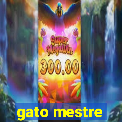 gato mestre