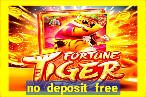 no deposit free bingo bonus