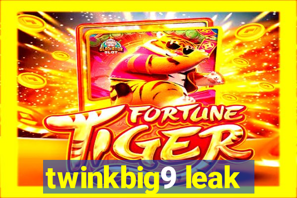 twinkbig9 leak