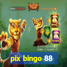 pix bingo 88