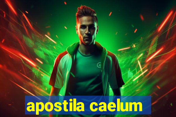 apostila caelum