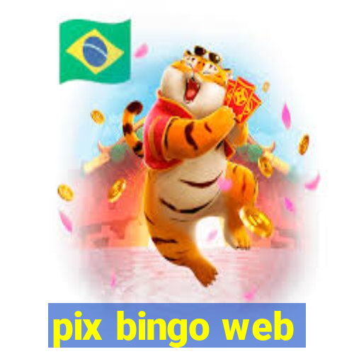 pix bingo web