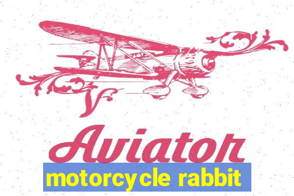 motorcycle rabbit